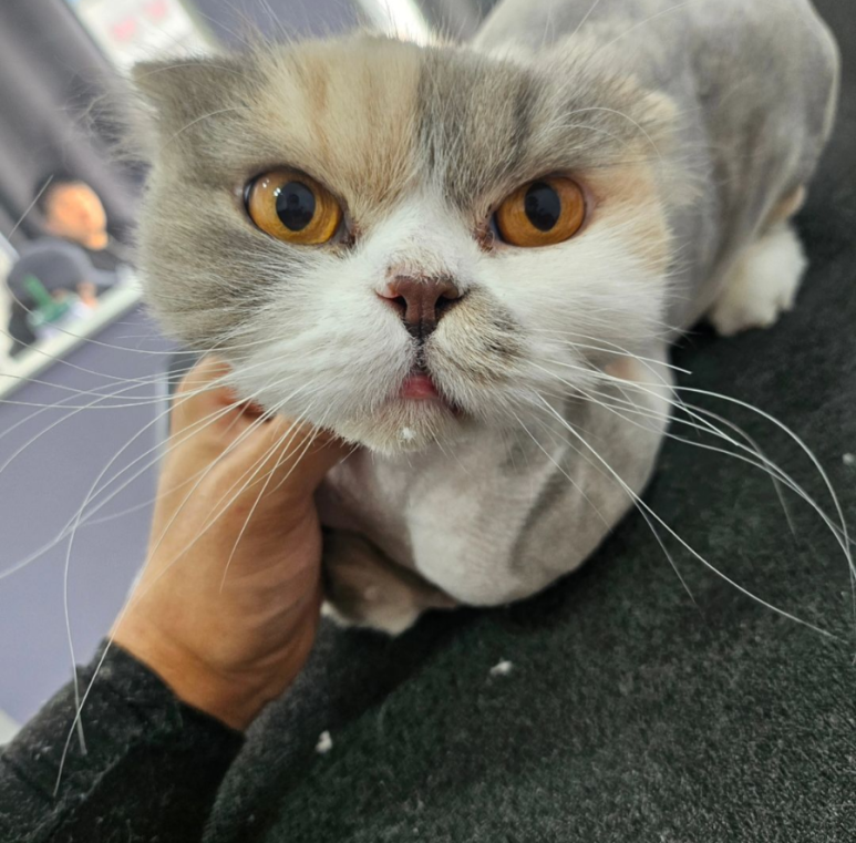 보연미용실 이미지