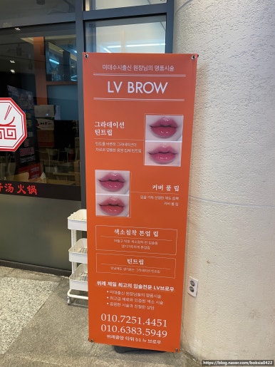 엘브이브로우 이미지