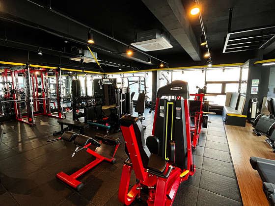 팀엑스핏 개봉 이미지