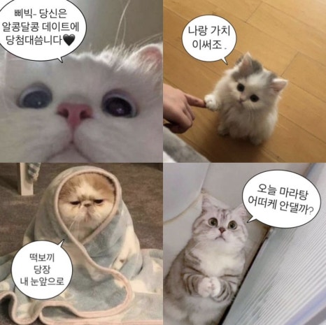 도쿄베이커리 이미지
