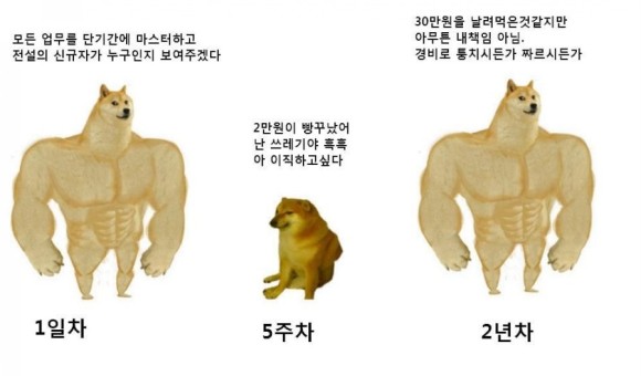 피식 이미지