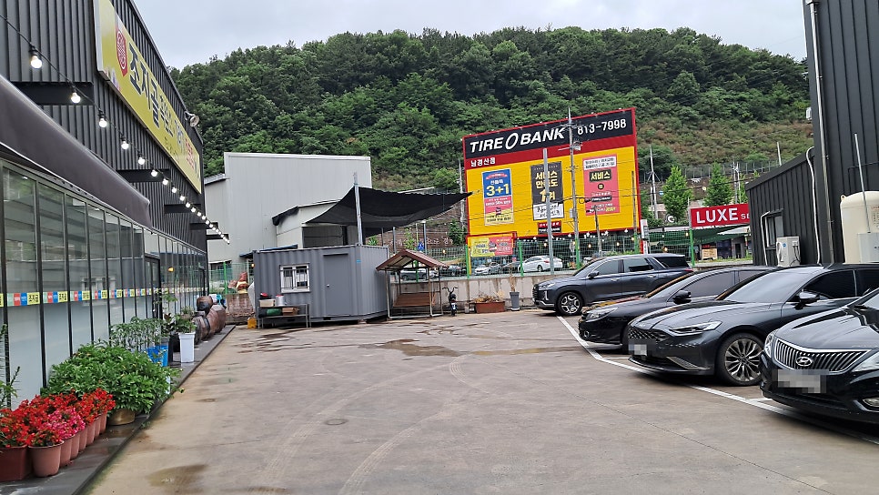조지골흑염소기러기 이미지