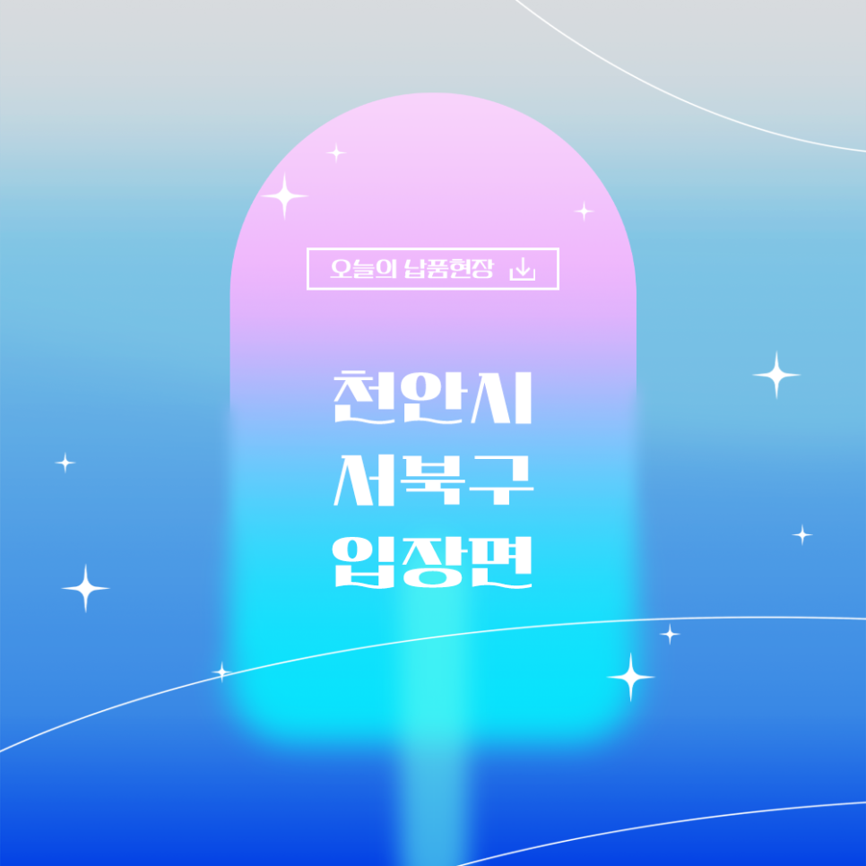 테라미장 이미지