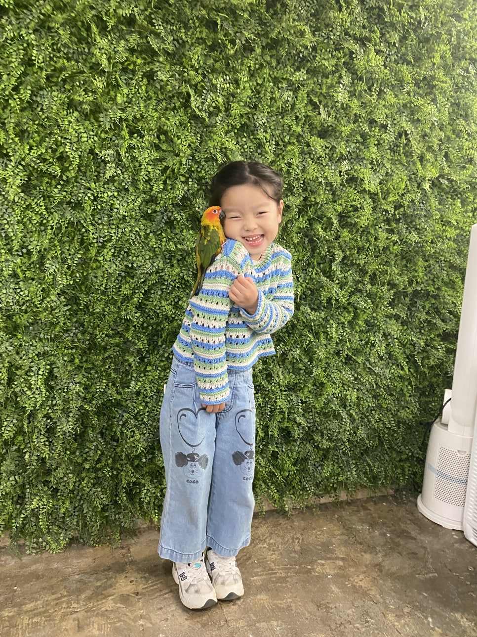 광주앵카페 이미지