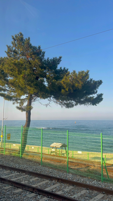 기차카페&분식 이미지