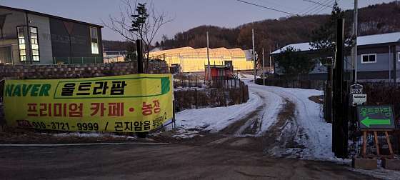 울트라팜 이미지