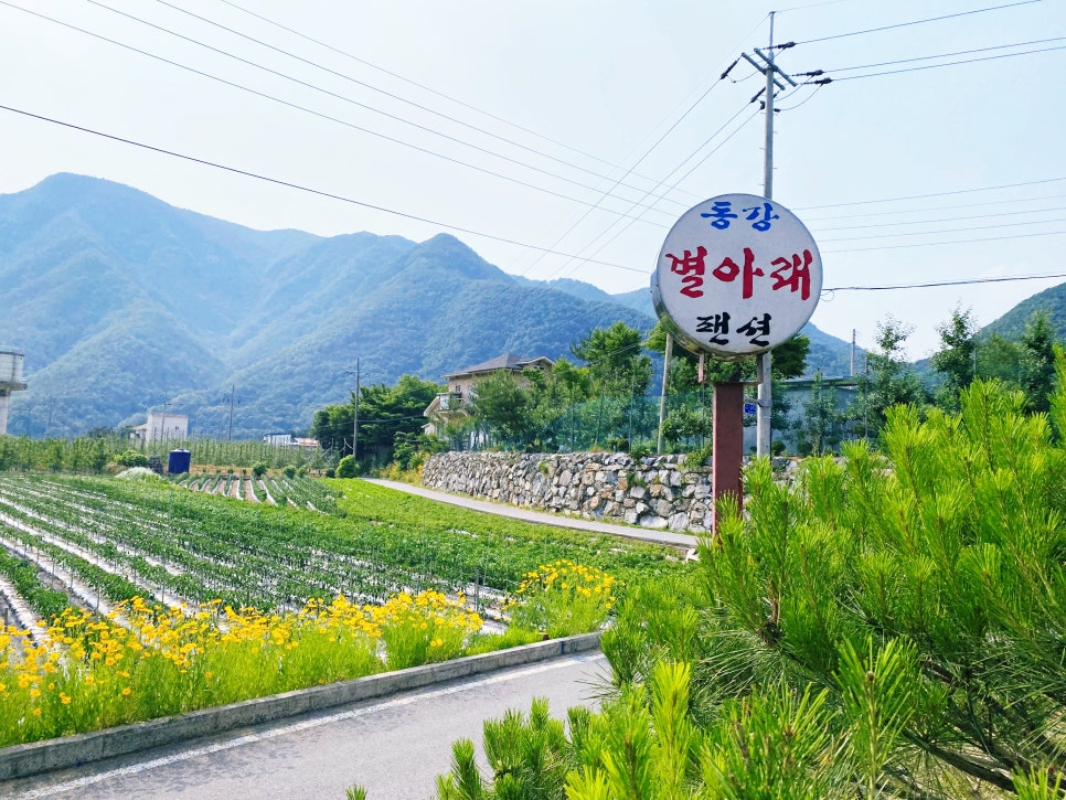 동강별아래 이미지