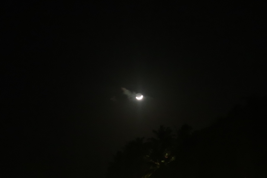 더리프 이미지