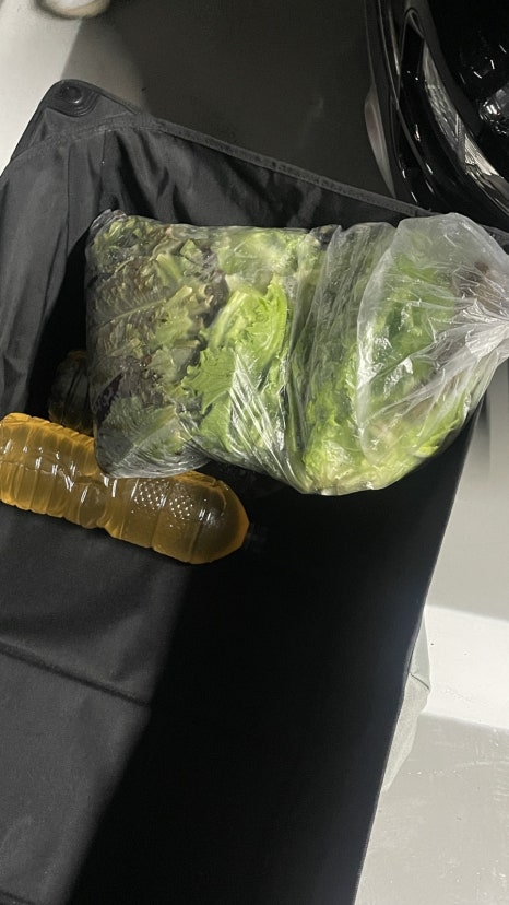 도담도담제빵소 이미지
