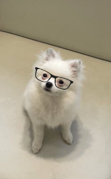 체르니 이미지