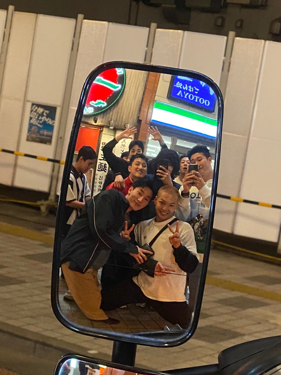 플레타짐 이미지