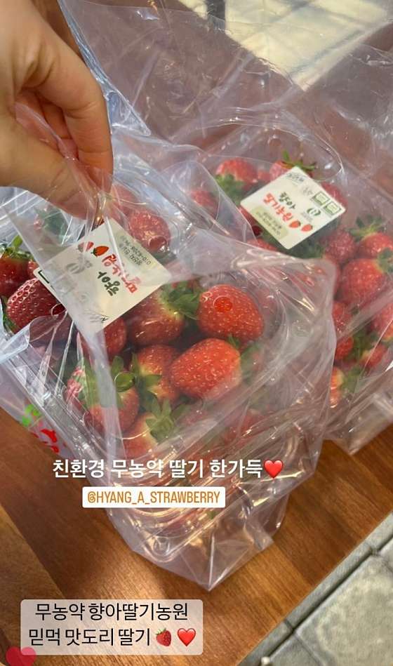향아농원 이미지