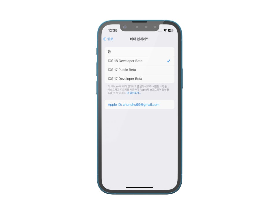 아이폰 13미니 및 아이패드 미니 iOS 및 iPad OS18 개발자 업데이트 방법 이미지 5