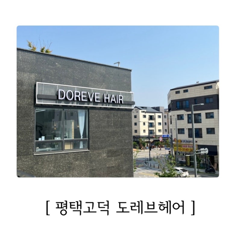 도레브헤어 이미지