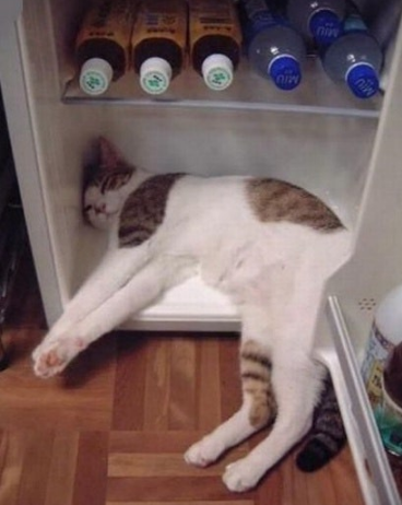 메타짐 이미지