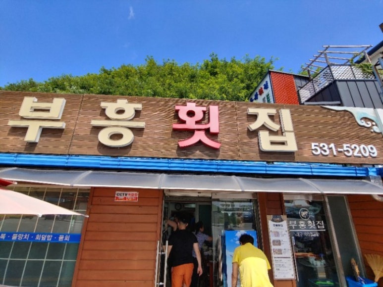 동해문어 이미지