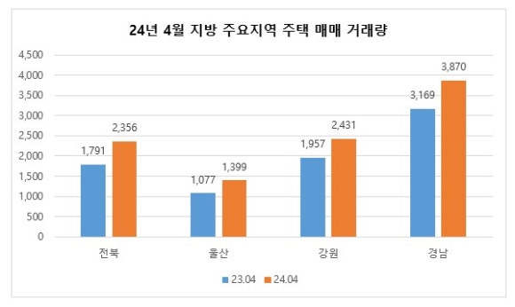 수성 감나무골 이미지