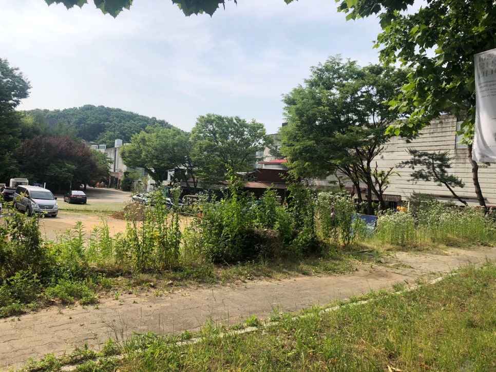 베조아니 이미지