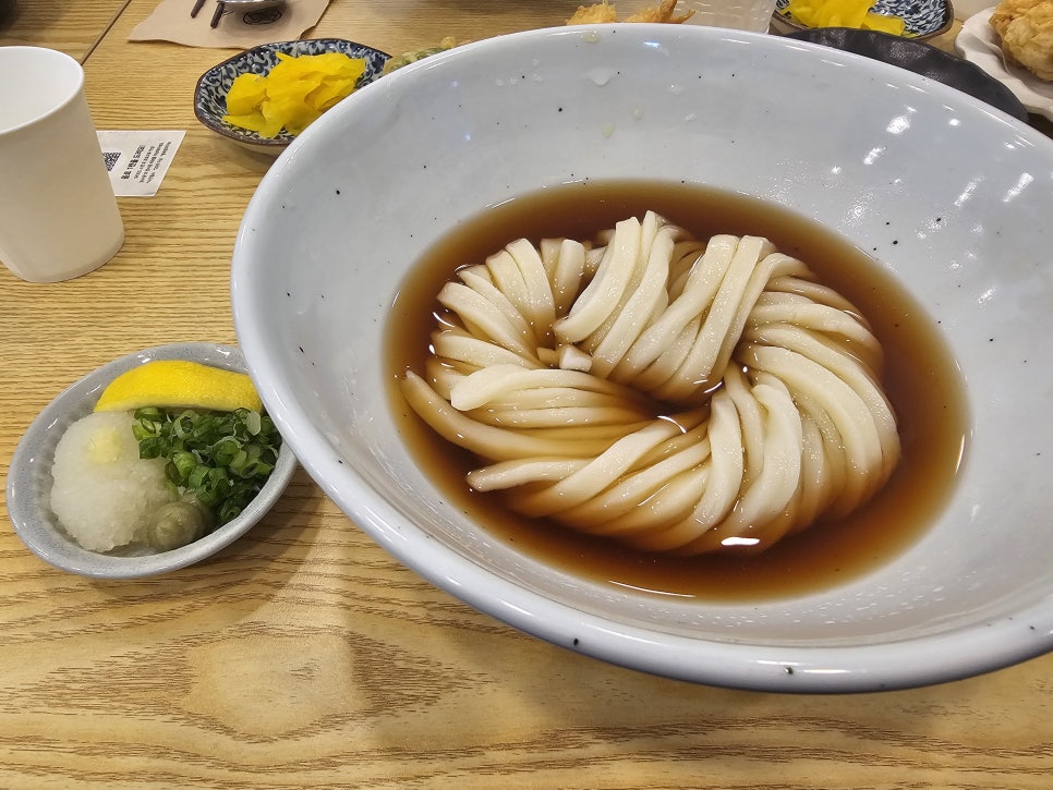 손수동 이미지