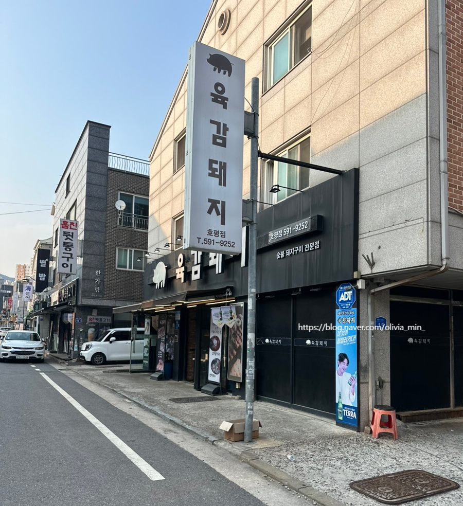 육감돼지 이미지