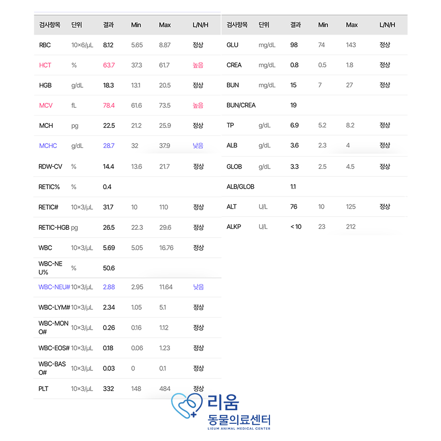 송파 리움동물의료센터: 강아지 스케일링 및 치아 발치 비용과 후기 — 사진 3