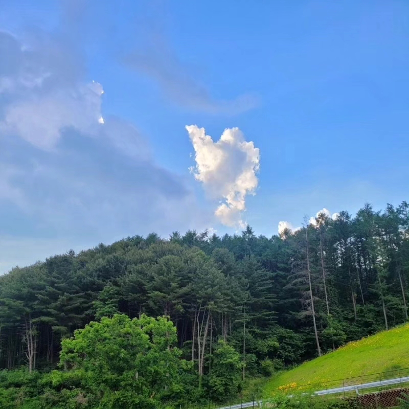 피치교육컨설팅 이미지