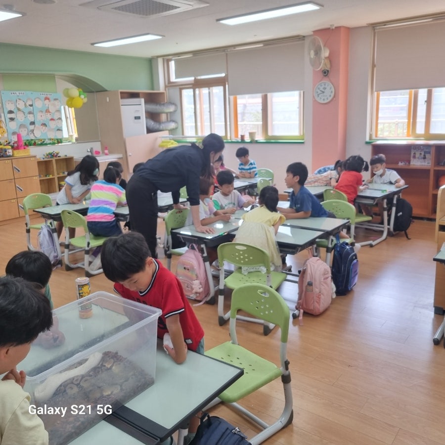 오산대원초등학교 이미지