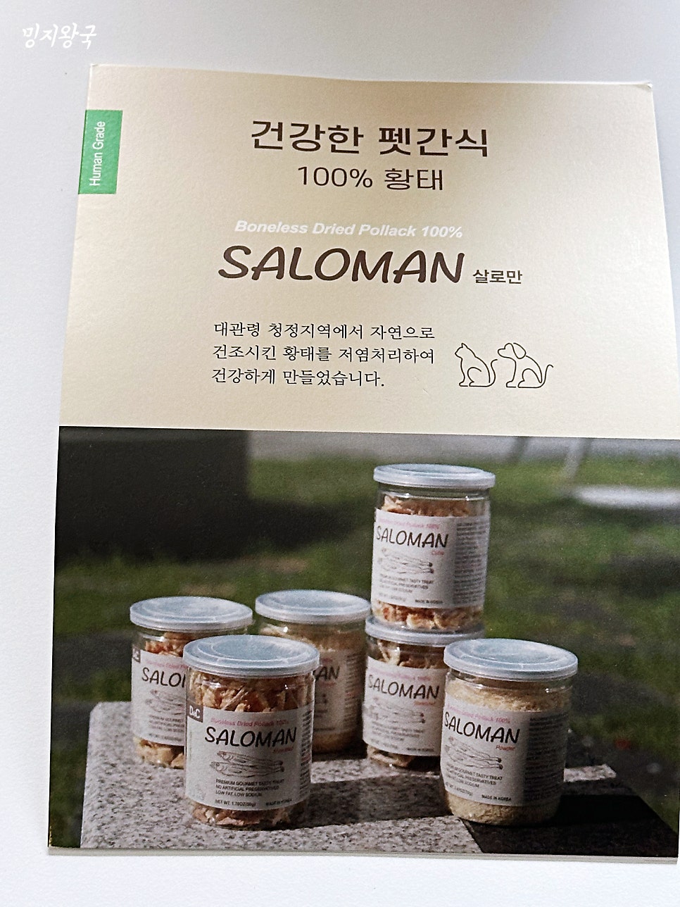 상상디앤씨 이미지