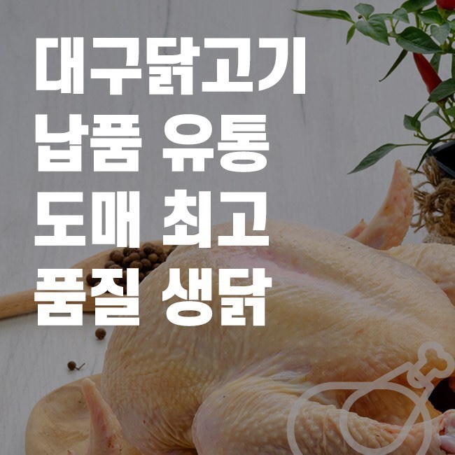 삼계닭도매 이미지