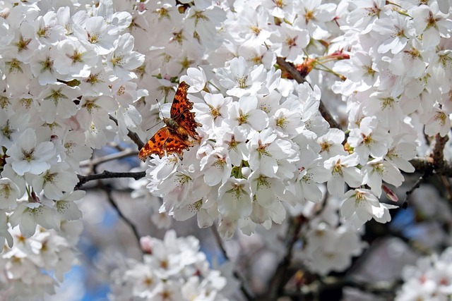 삼백식당 상현점 이미지