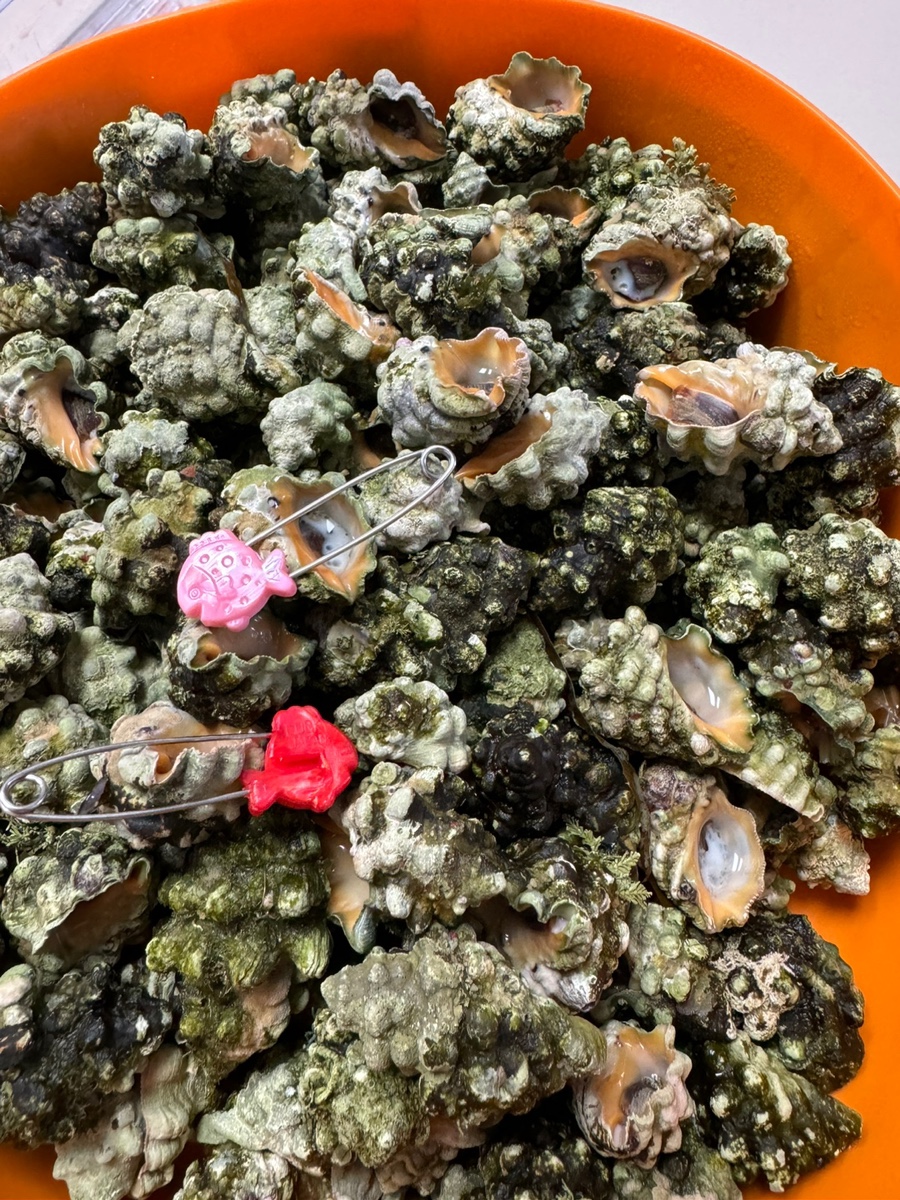 마시세식당 이미지