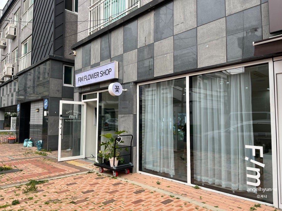 핌플라워 이미지