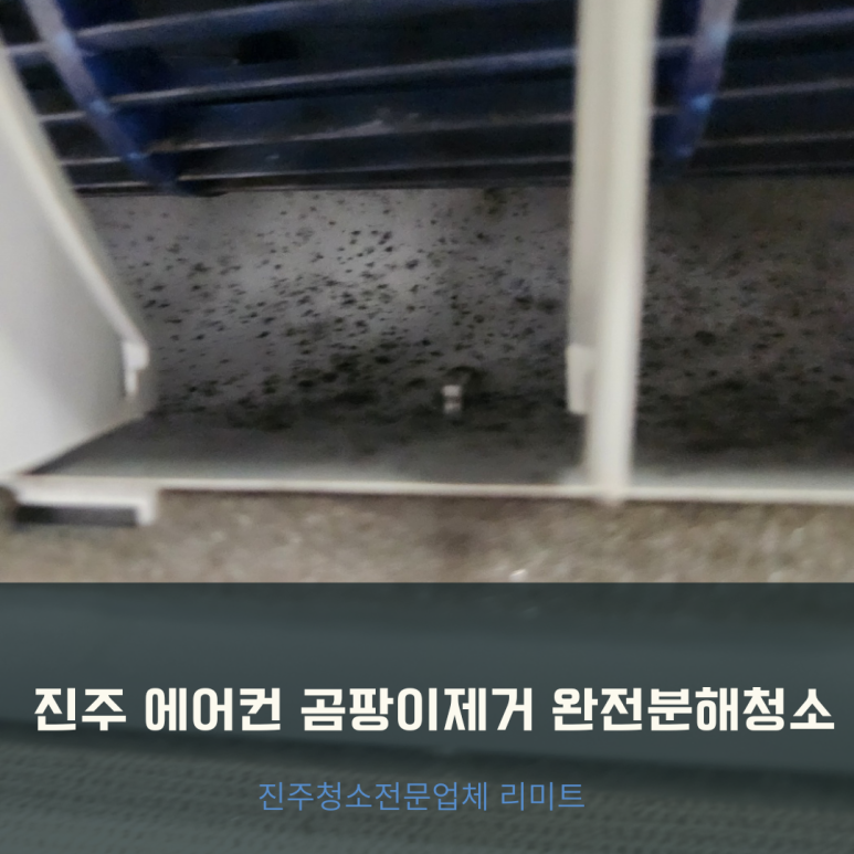 리미트청소전문업체 이미지