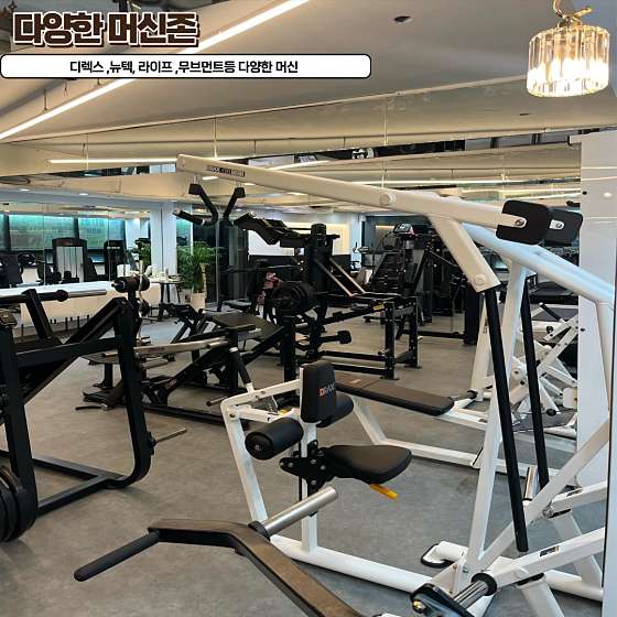 엔에스휘트니스 이미지
