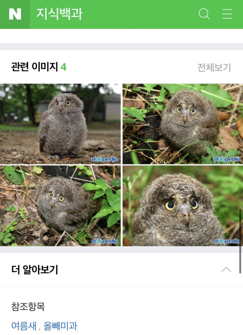 민턴이야기 이미지