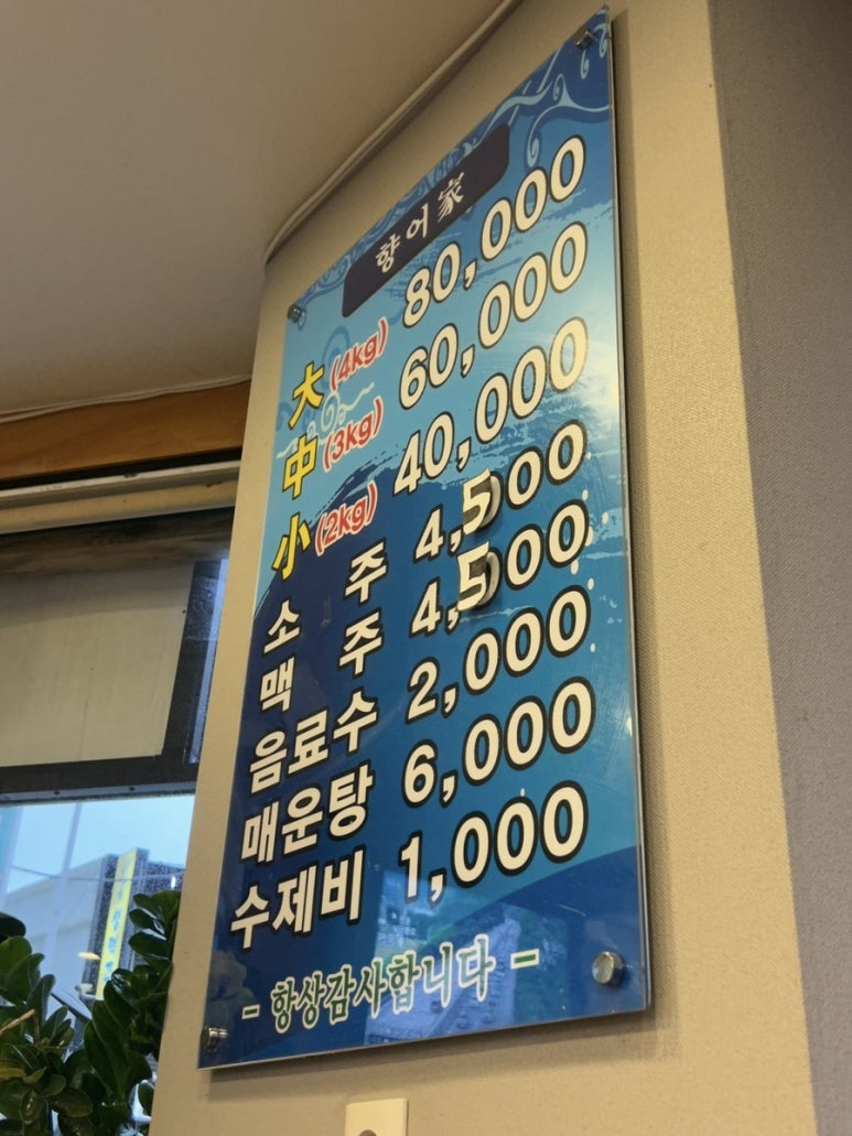 원조서원향어가 이미지