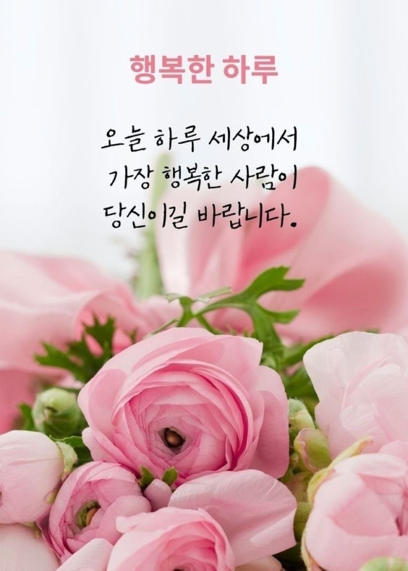 행복한하루 이미지