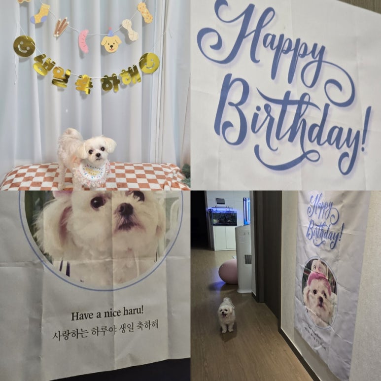 팩토리세인 이미지