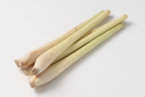 레몬그라스 이미지