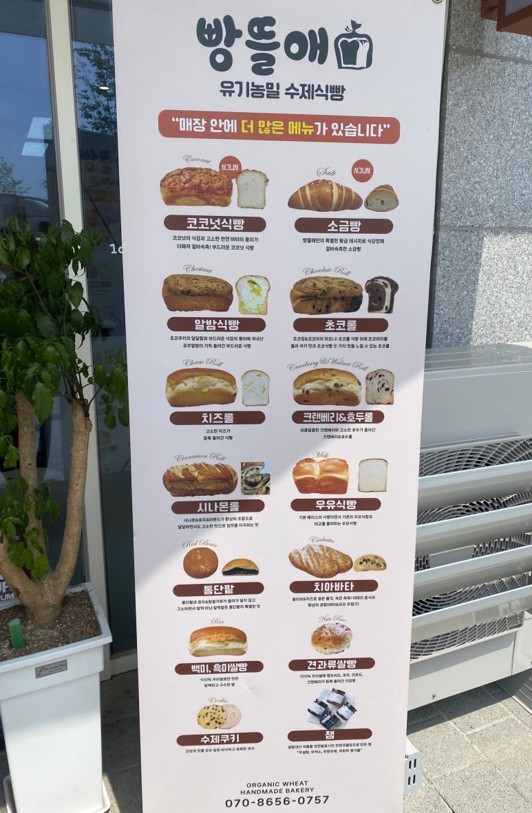 빵뜰애 이미지