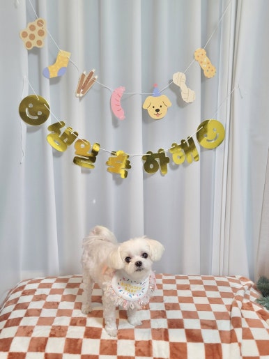 팩토리세인 이미지