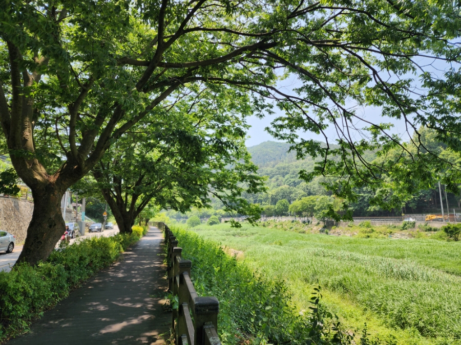 태종마트 이미지