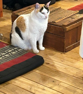 선영다방 이미지