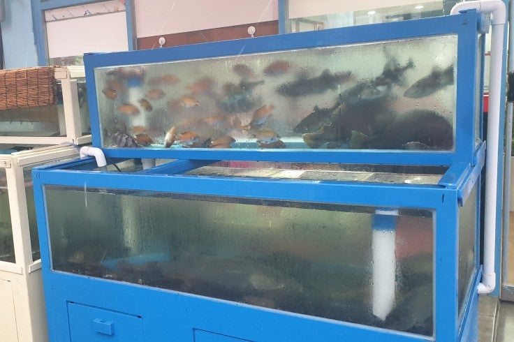북창원농협 하나로마트 이미지