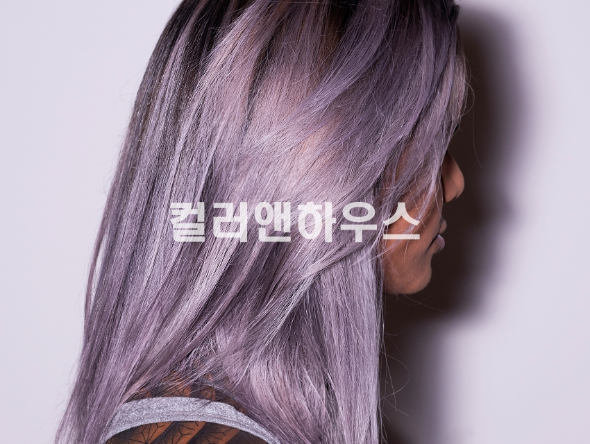 컬러하우스 이미지
