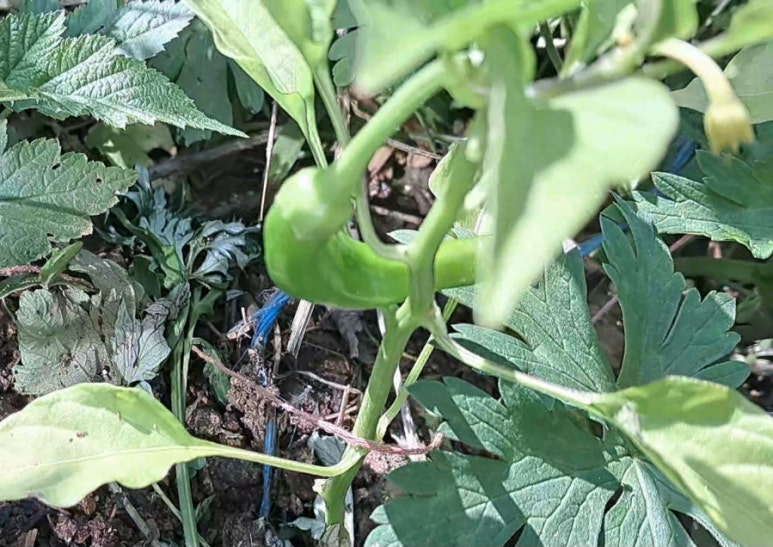 산골마트 이미지