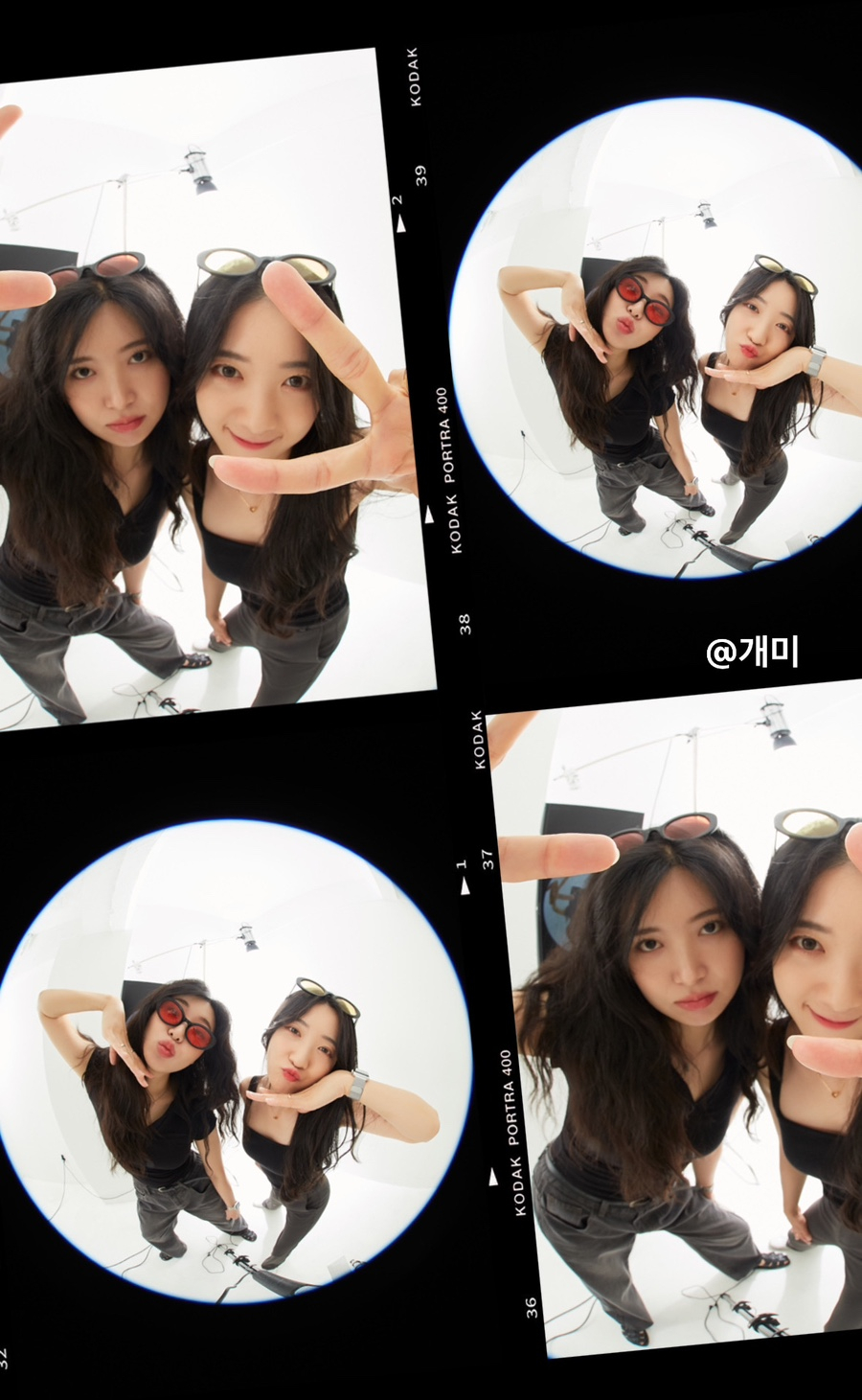 헤이셔터 이미지