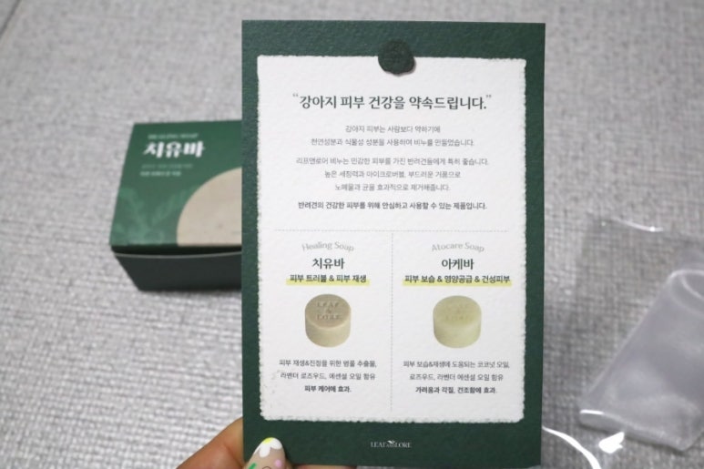 리프앤바인 이미지