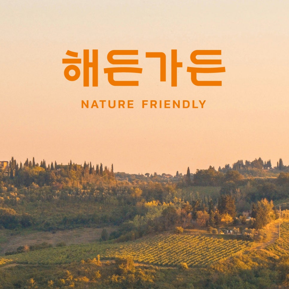 해든가든 이미지