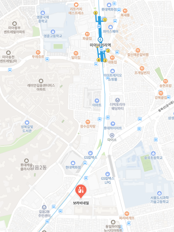 보라비네일 이미지